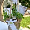 potted bag עציץ פרחים, תבלין, פלפל